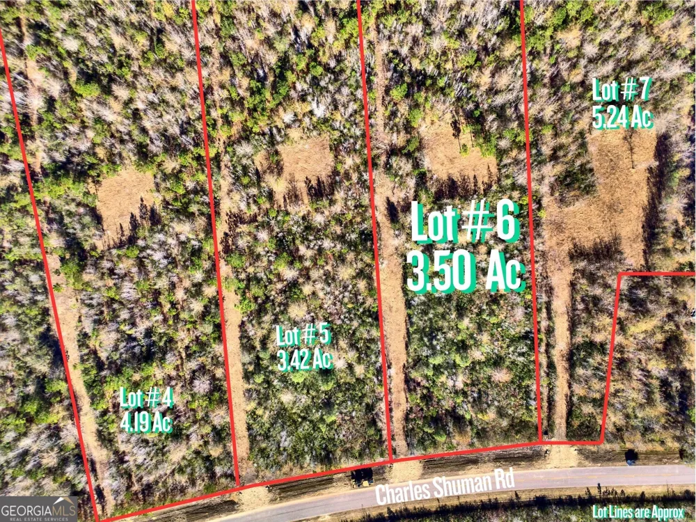 LOT 6 Charles Shuman RD Pembroke, GA 31321
