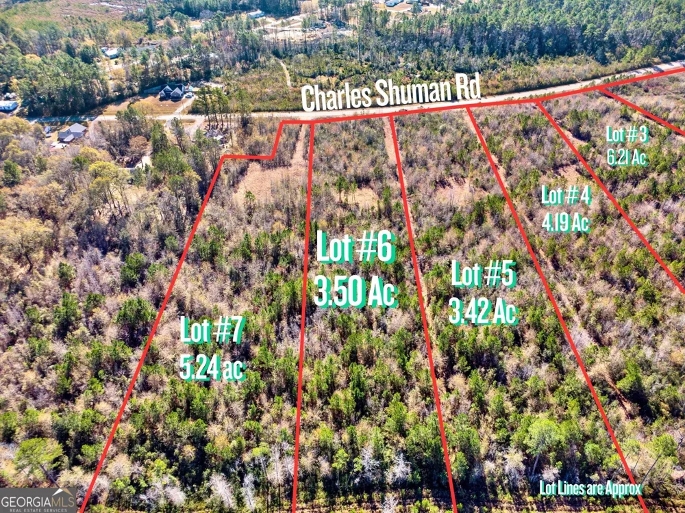 LOT 6 Charles Shuman RD Pembroke, GA 31321