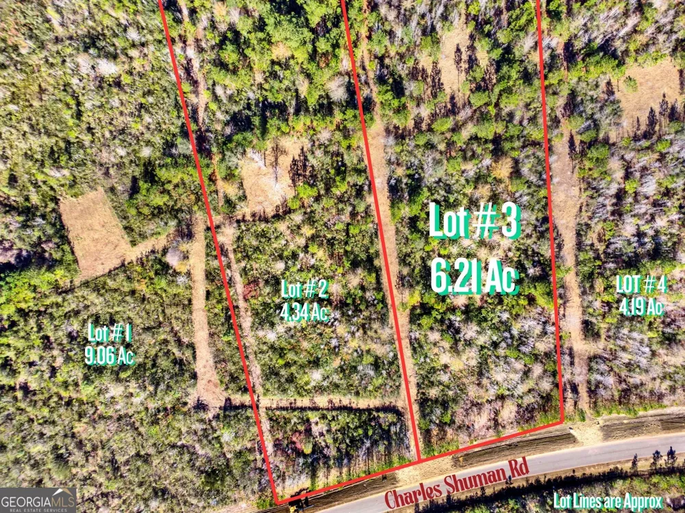 LOT 3 Charles Shuman RD Pembroke, GA 31321