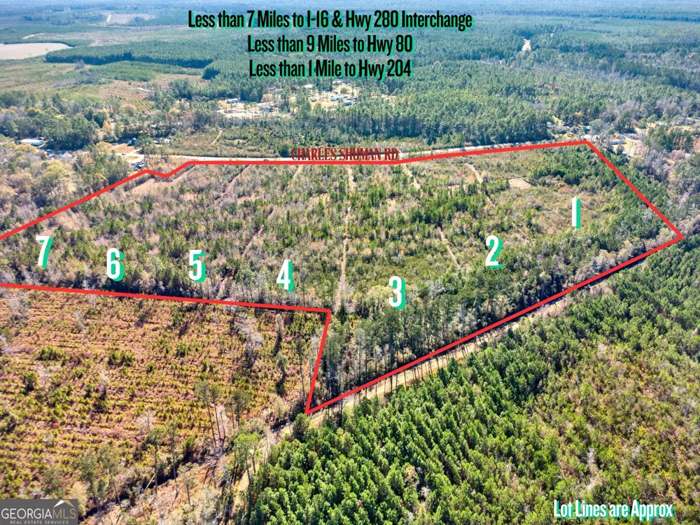 LOT 3 Charles Shuman RD Pembroke, GA 31321