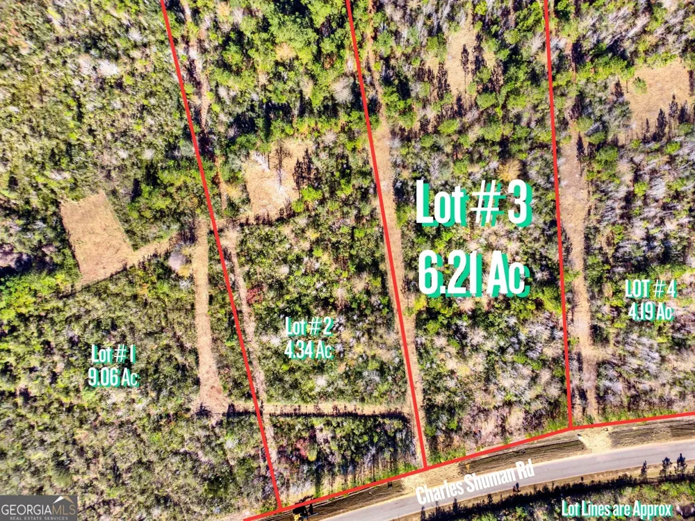 LOT 3 Charles Shuman RD Pembroke, GA 31321