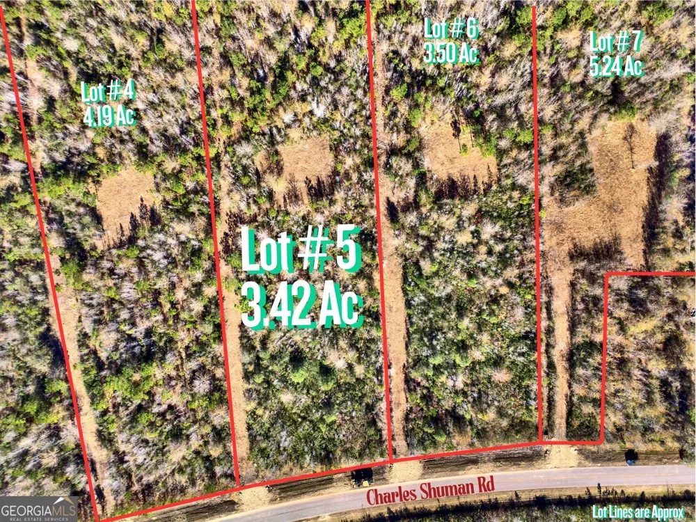 LOT 5 Charles Shuman RD Pembroke, GA 31321