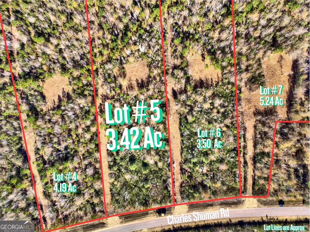LOT 5 Charles Shuman RD Pembroke, GA 31321