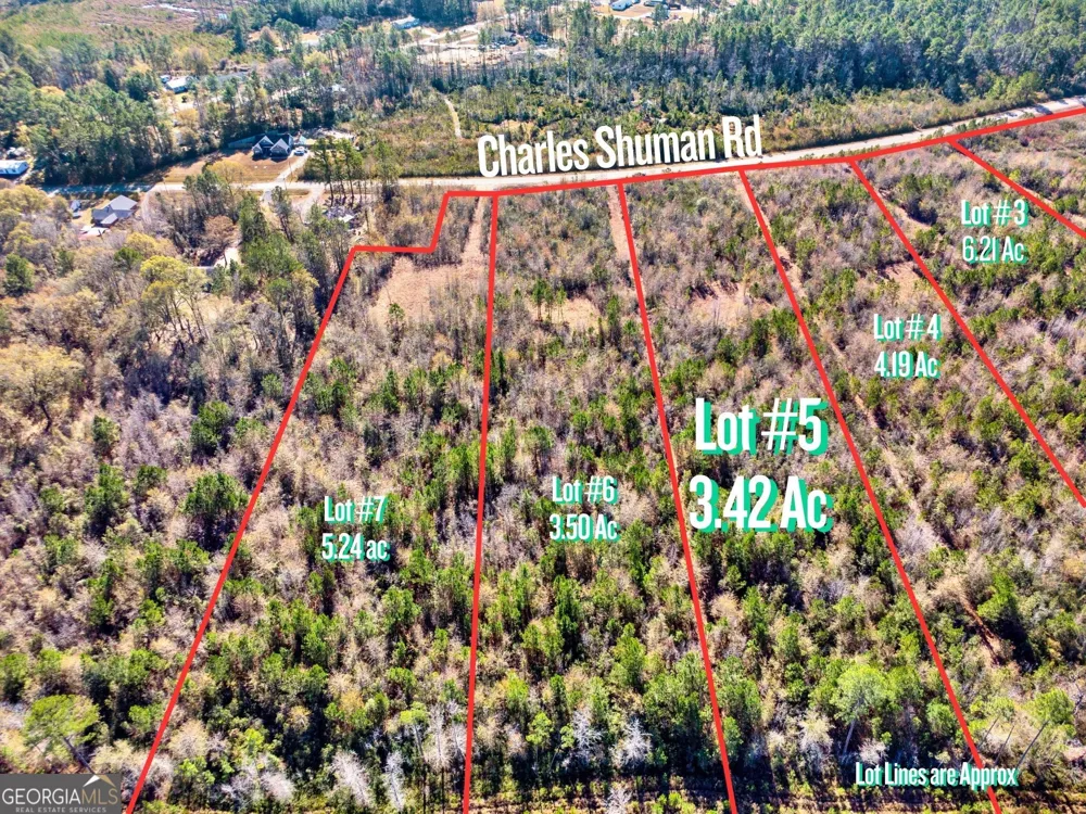 LOT 5 Charles Shuman RD Pembroke, GA 31321