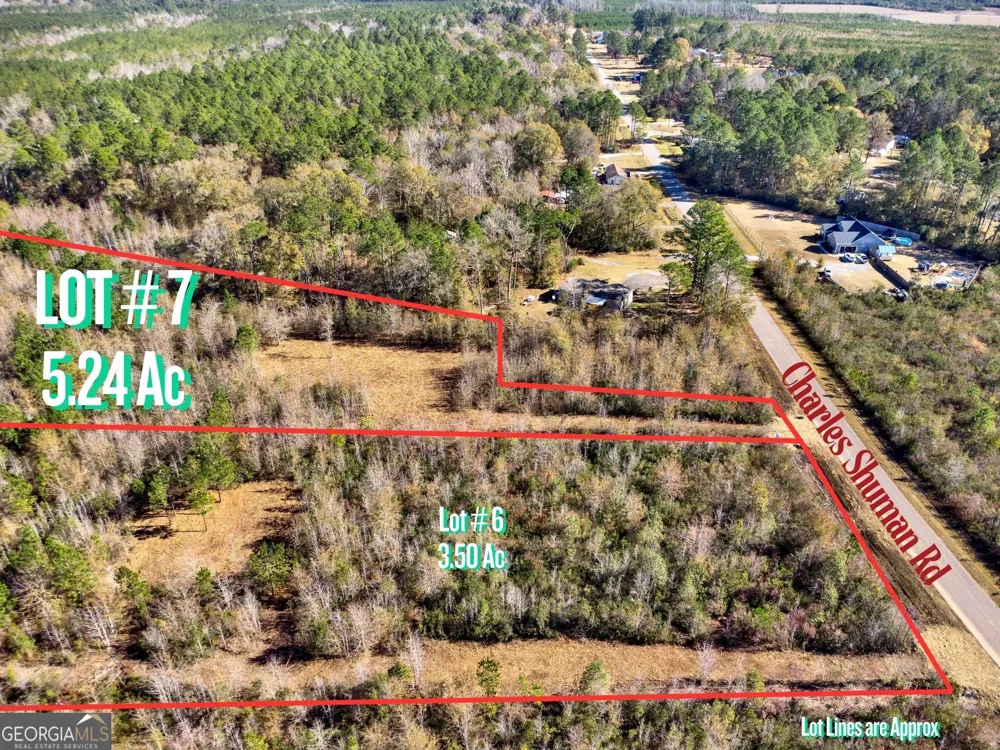 LOT 7 Charles Shuman RD Pembroke, GA 31321