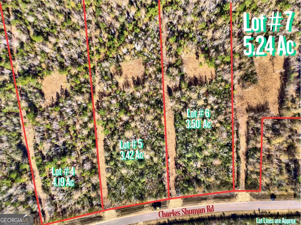 LOT 7 Charles Shuman RD Pembroke, GA 31321