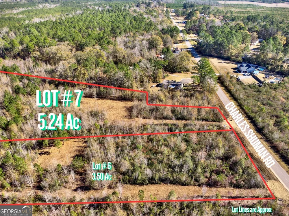 LOT 7 Charles Shuman RD Pembroke, GA 31321