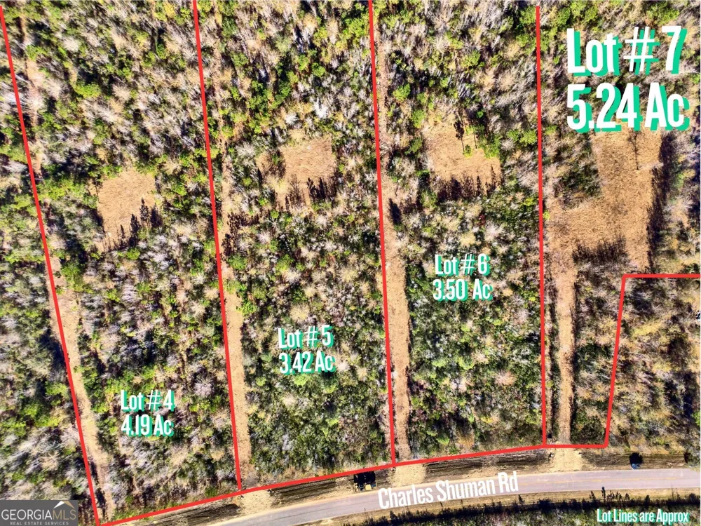 LOT 7 Charles Shuman RD Pembroke, GA 31321
