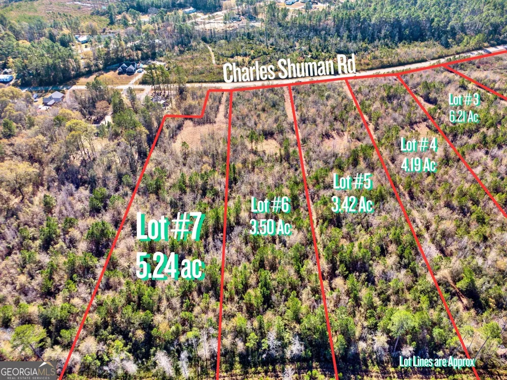 LOT 7 Charles Shuman RD Pembroke, GA 31321