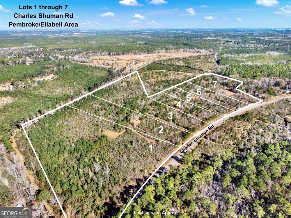 LOT 7 Charles Shuman RD Pembroke, GA 31321