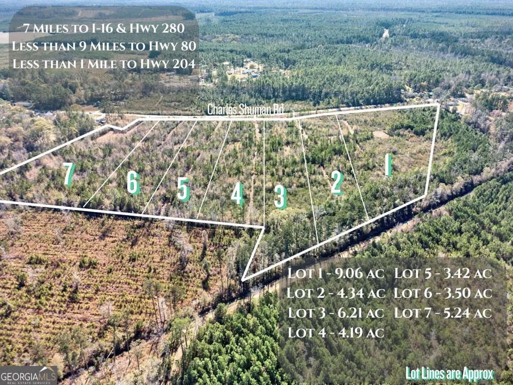 LOT 7 Charles Shuman RD Pembroke, GA 31321