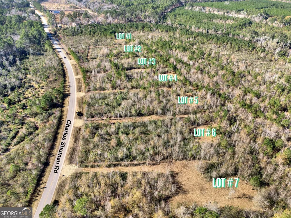 LOT 7 Charles Shuman RD Pembroke, GA 31321