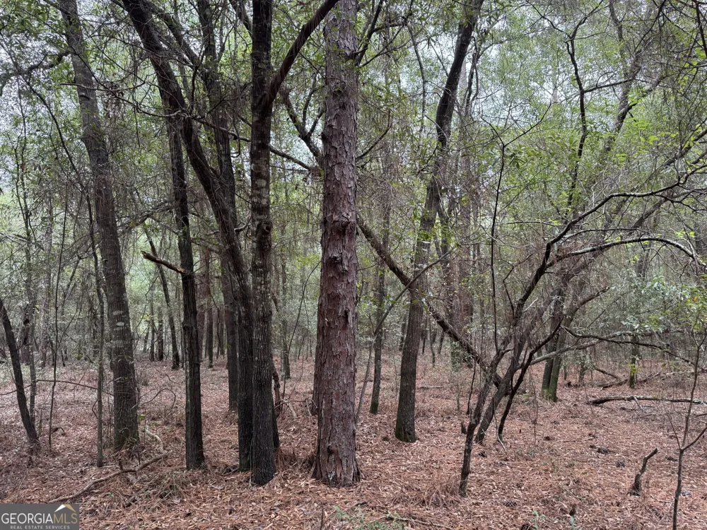 0 Glen DR East Dublin, GA 31027
