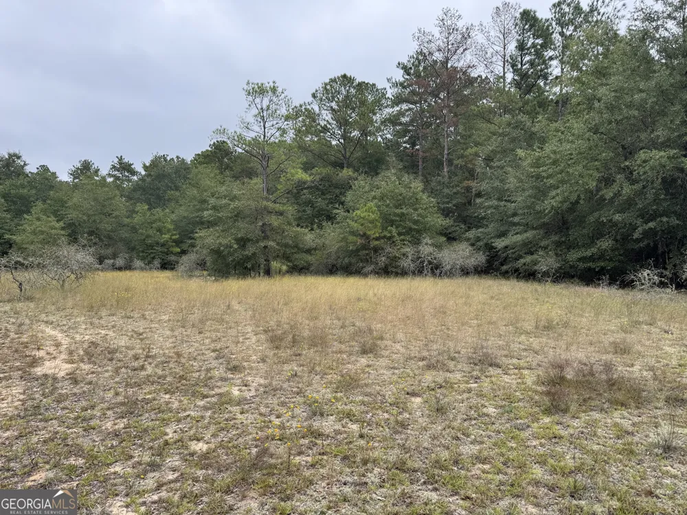 0 Glen DR East Dublin, GA 31027