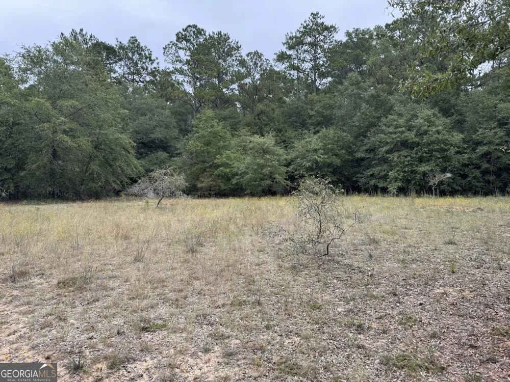 0 Glen DR East Dublin, GA 31027