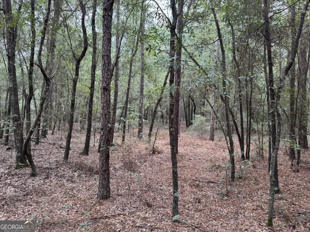 0 Glen DR East Dublin, GA 31027