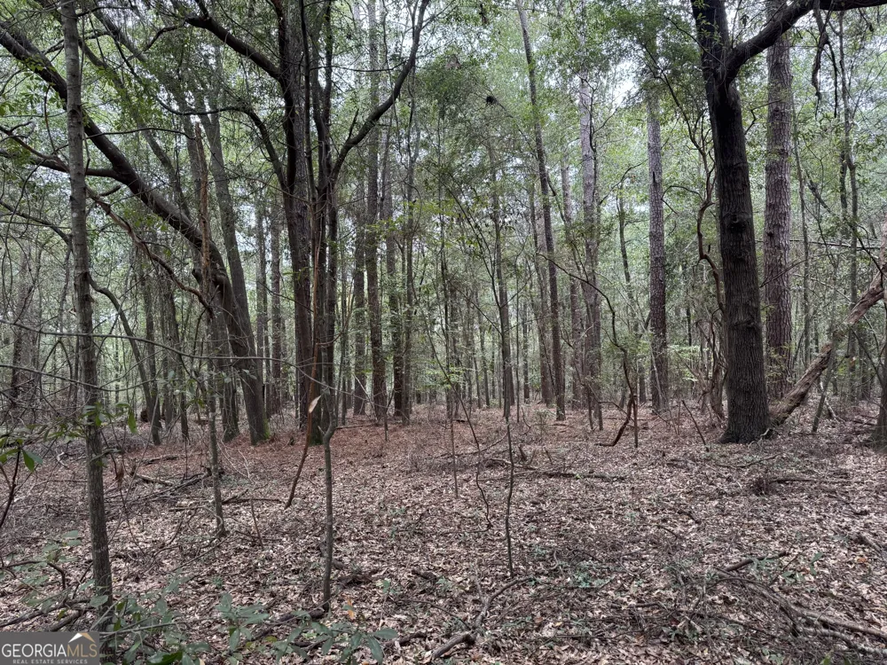 0 Glen DR East Dublin, GA 31027