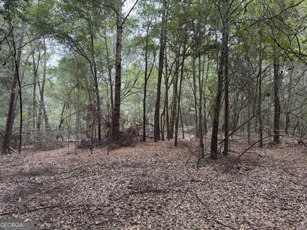 0 Glen DR East Dublin, GA 31027