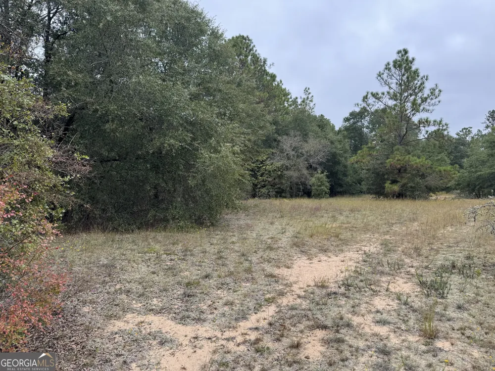 0 Glen DR East Dublin, GA 31027