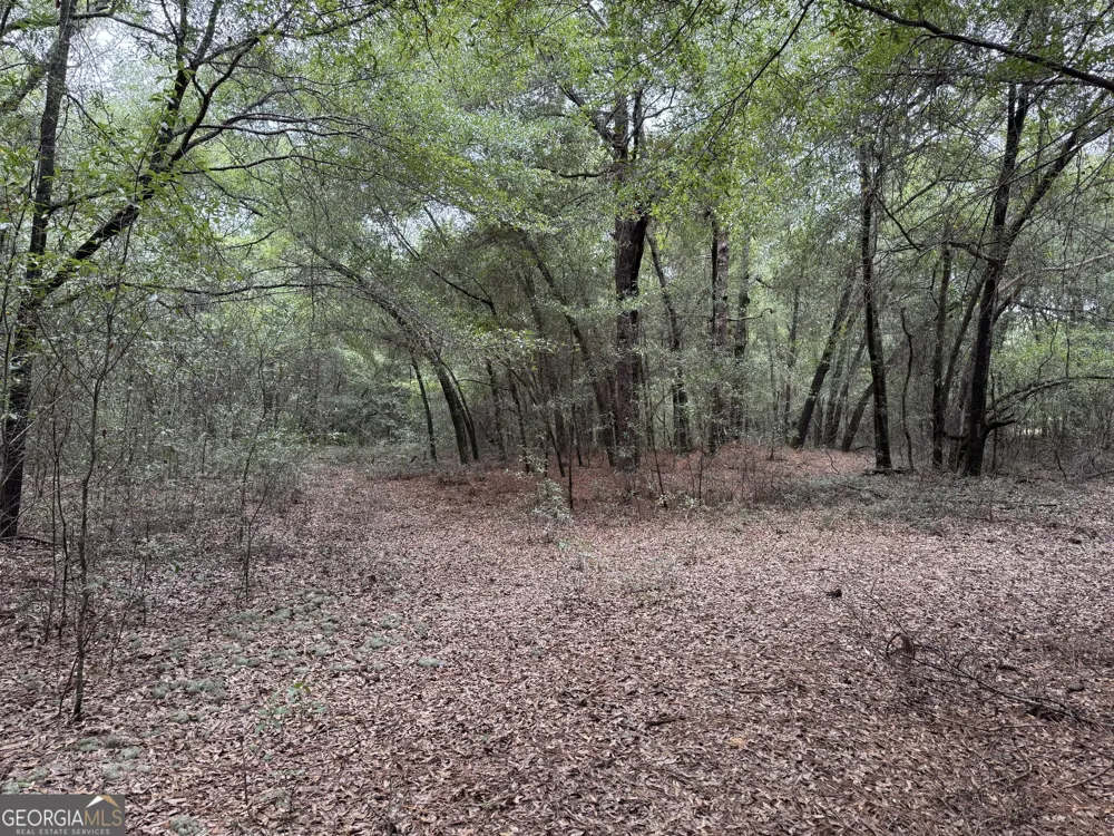 0 Glen DR East Dublin, GA 31027