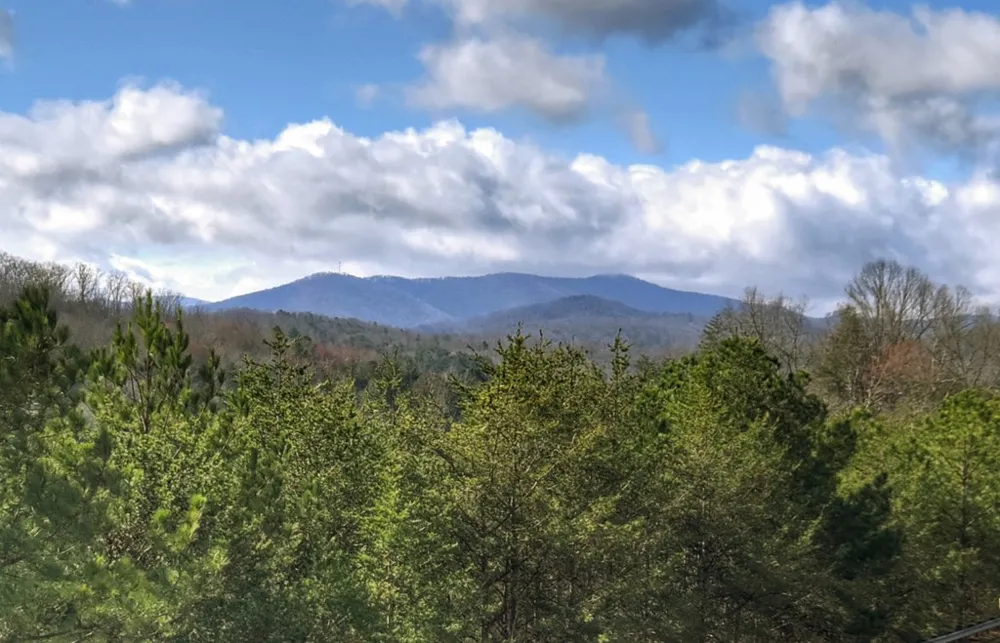 Unit 7 Grove Loop Blue Ridge, GA 30513