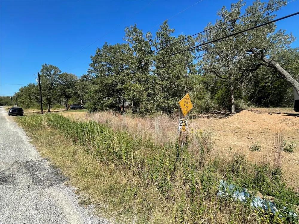 Commache Drive Smithville, TX 78597