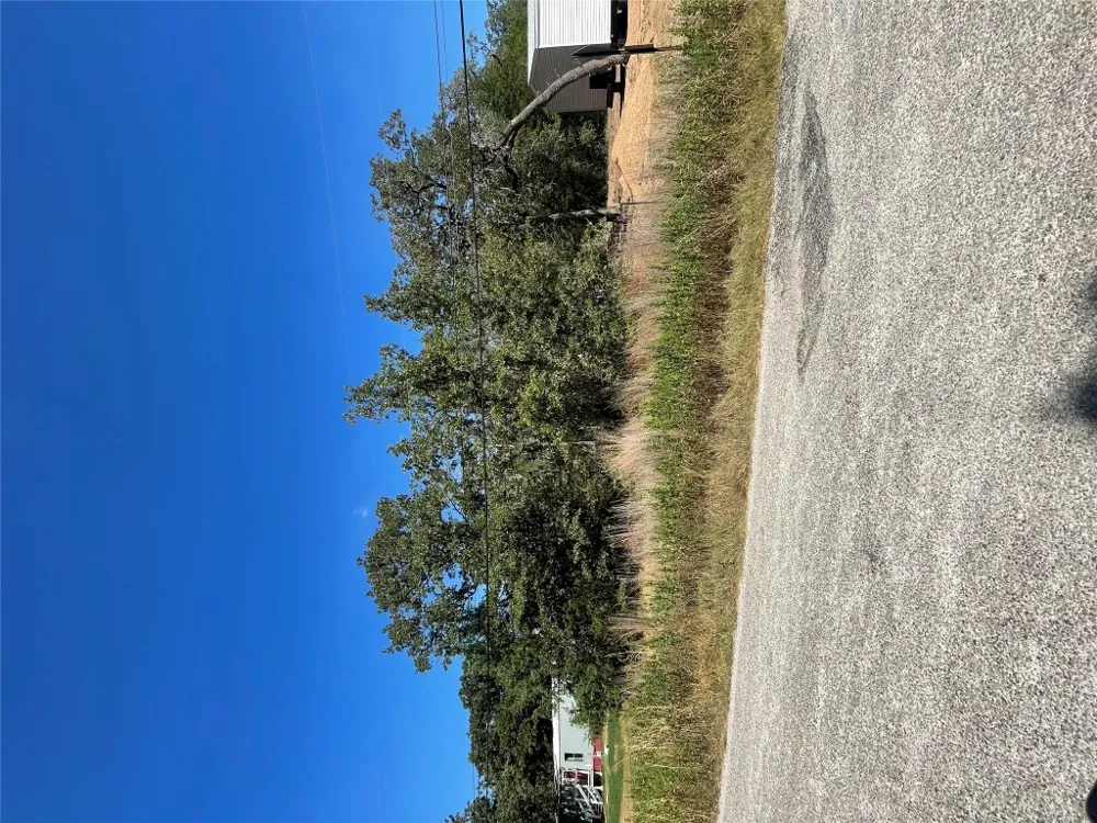 Commache Drive Smithville, TX 78597