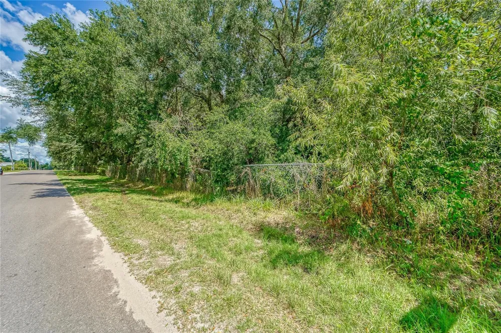 TURKEY CREEK ROAD Plant City, FL 33563