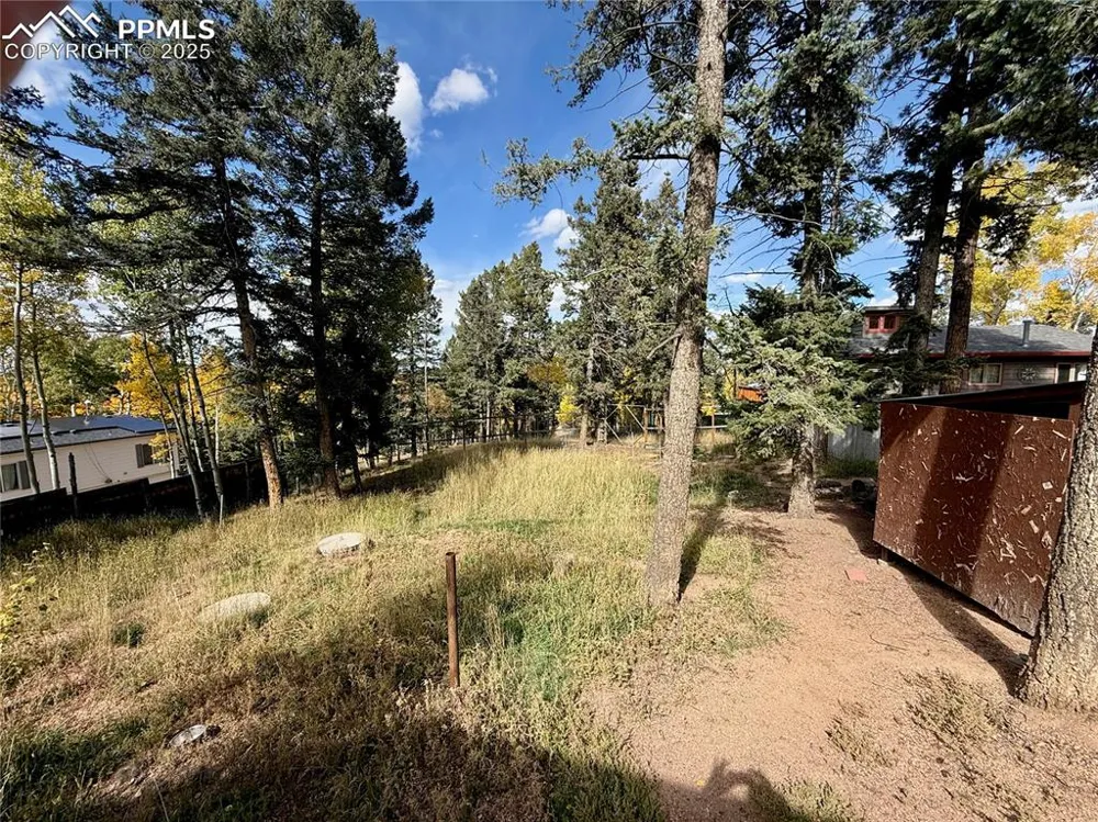 753 Will Stutley Drive Divide, CO 80814
