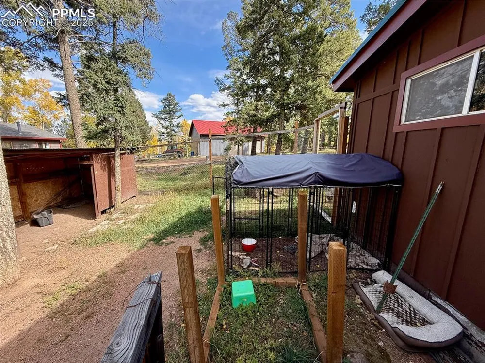 753 Will Stutley Drive Divide, CO 80814