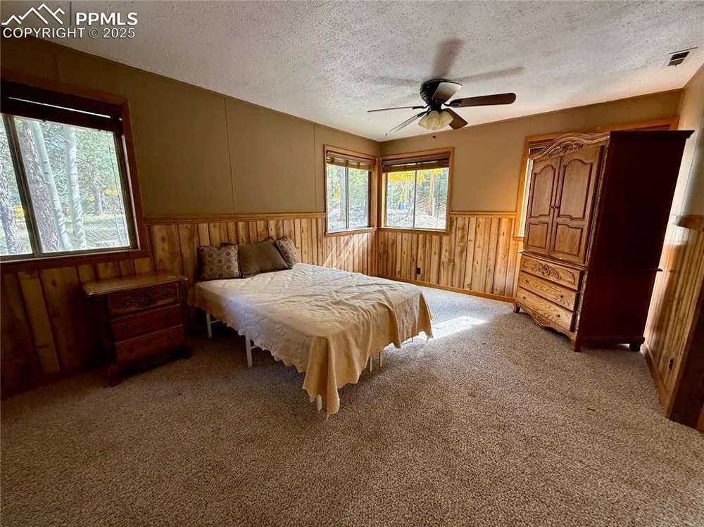 753 Will Stutley Drive Divide, CO 80814