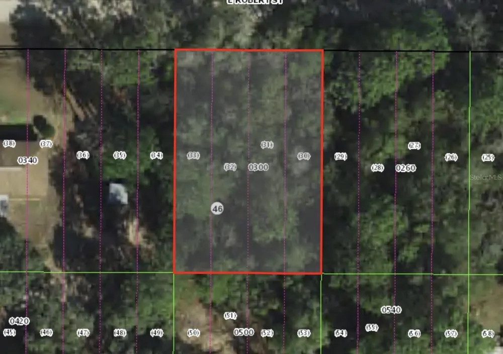 3046 E ROBERT ST Inverness, FL 34453