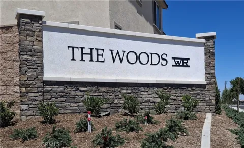 31339 Siskiyou Pass Court