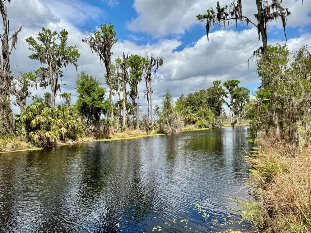 216 LITTLE ORANGE LAKE DRIVE Hawthorne, FL 32640