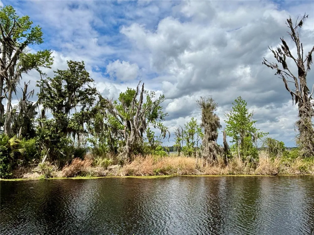 216 LITTLE ORANGE LAKE DRIVE Hawthorne, FL 32640