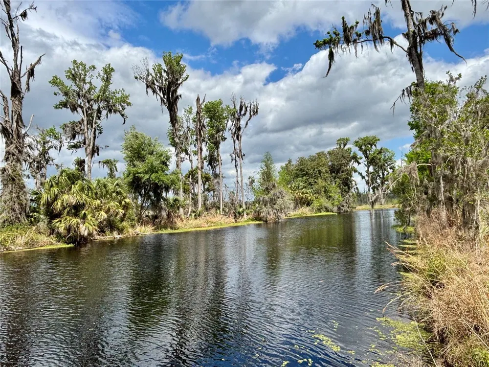 216 LITTLE ORANGE LAKE DRIVE Hawthorne, FL 32640