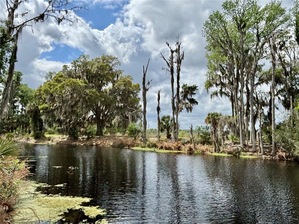 216 LITTLE ORANGE LAKE DRIVE Hawthorne, FL 32640