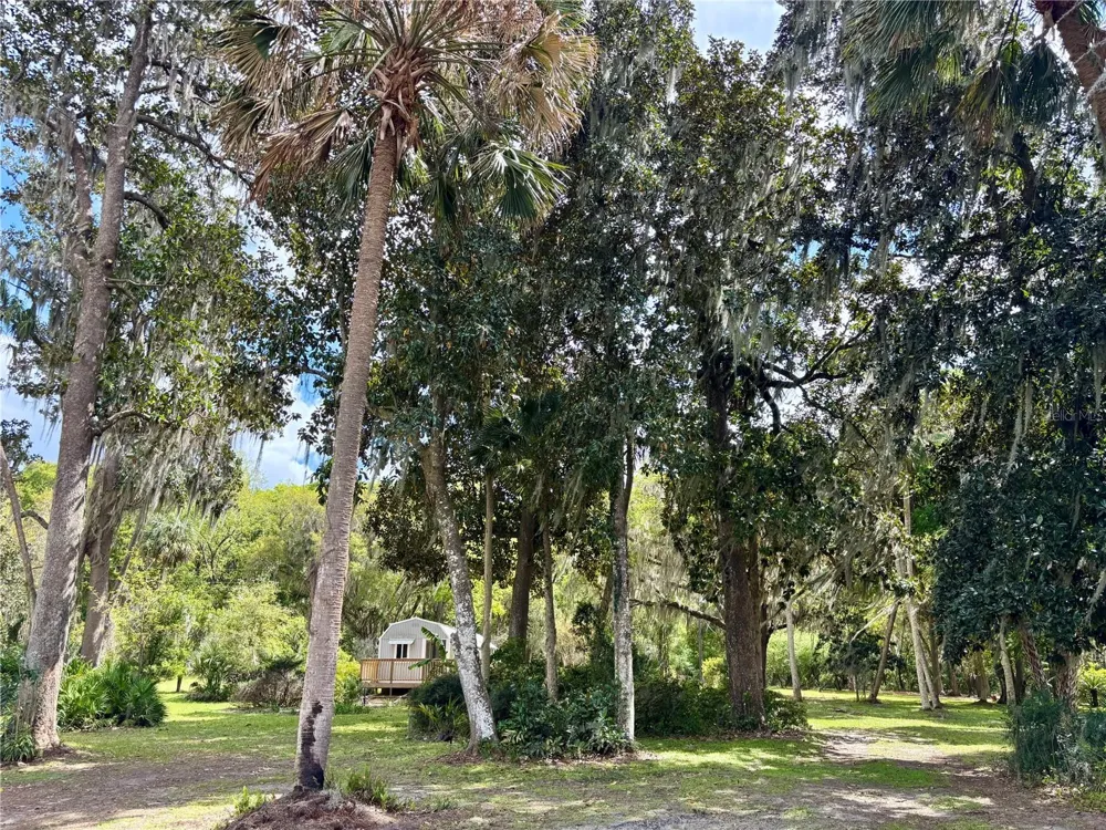 216 LITTLE ORANGE LAKE DRIVE Hawthorne, FL 32640