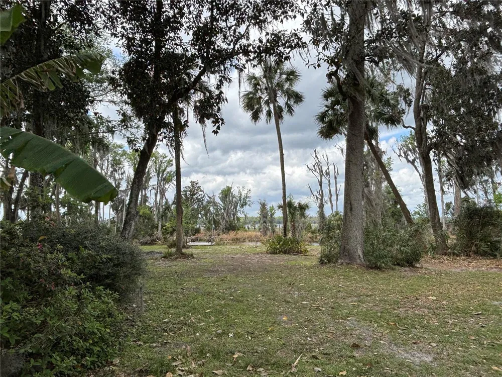 216 LITTLE ORANGE LAKE DRIVE Hawthorne, FL 32640