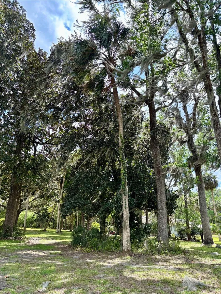 216 LITTLE ORANGE LAKE DRIVE Hawthorne, FL 32640