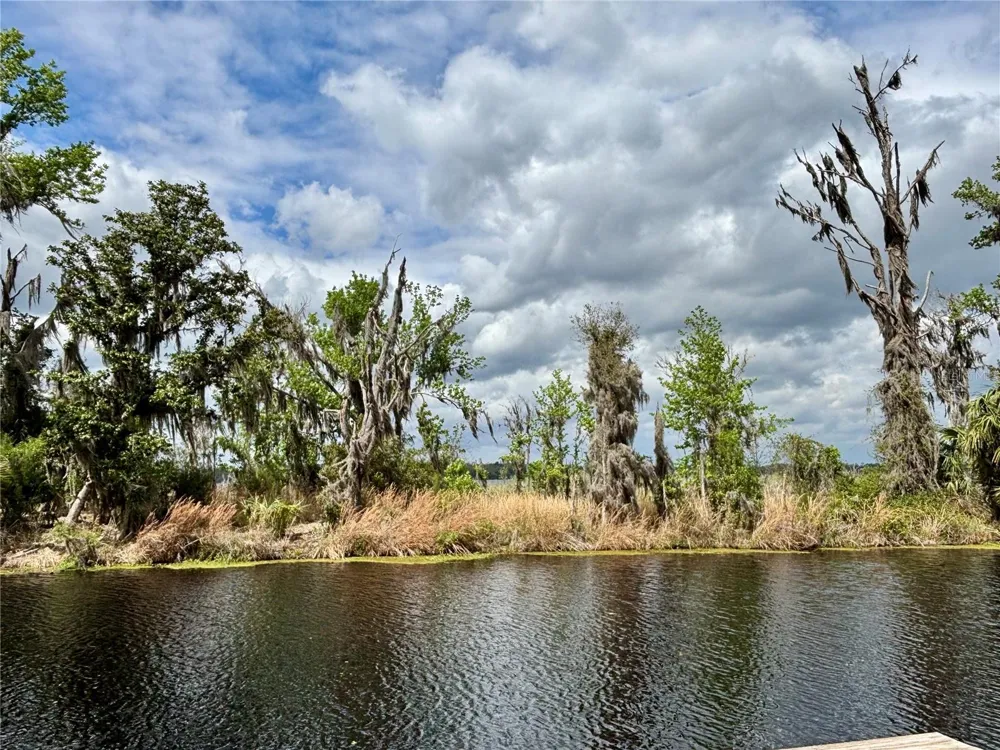 216 LITTLE ORANGE LAKE DRIVE Hawthorne, FL 32640