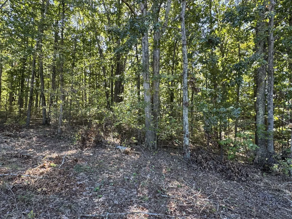 0 Hwy 100 Centerville, TN 37033
