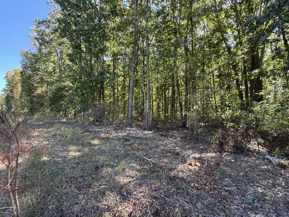 0 Hwy 100 Centerville, TN 37033