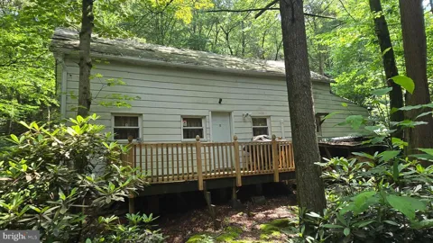 212 THICKHEAD MOUNTAIN ROAD