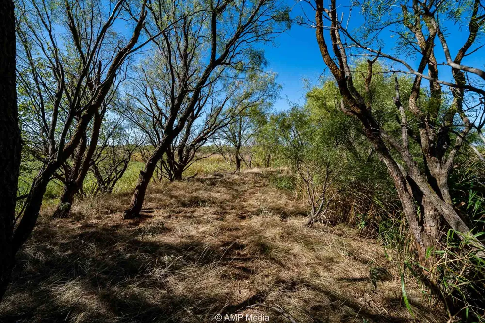 1504 CR 423 Rule, TX 79547
