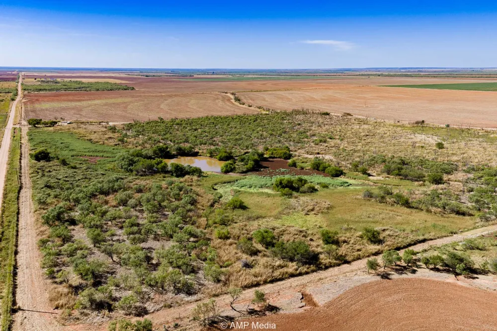 1504 CR 423 Rule, TX 79547