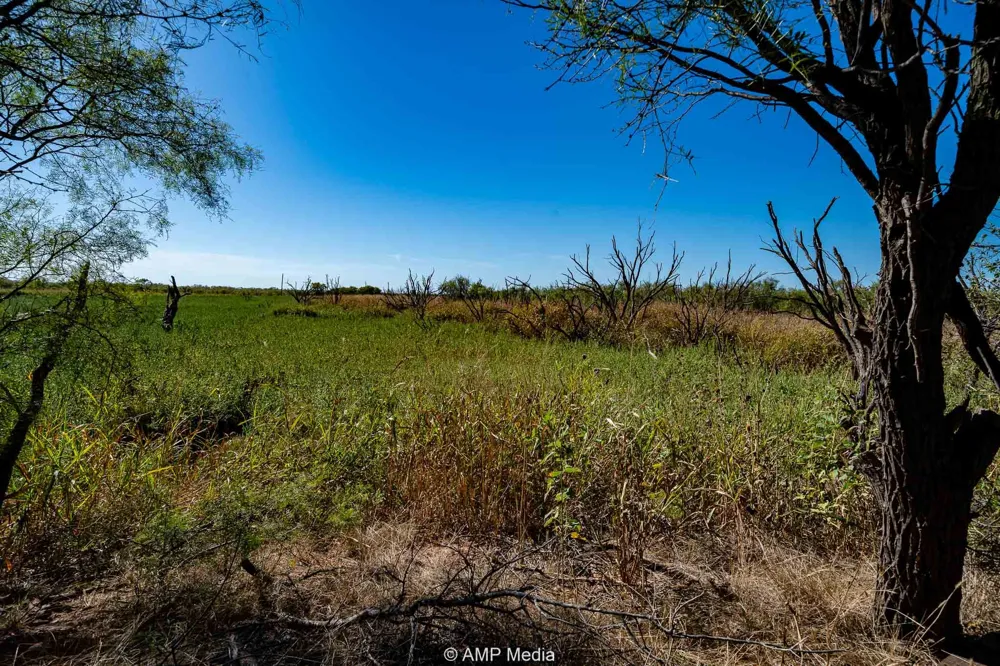 1504 CR 423 Rule, TX 79547