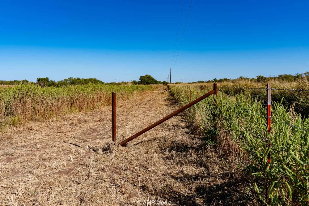 1504 CR 423 Rule, TX 79547
