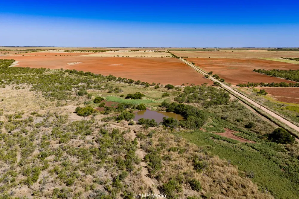 1504 CR 423 Rule, TX 79547