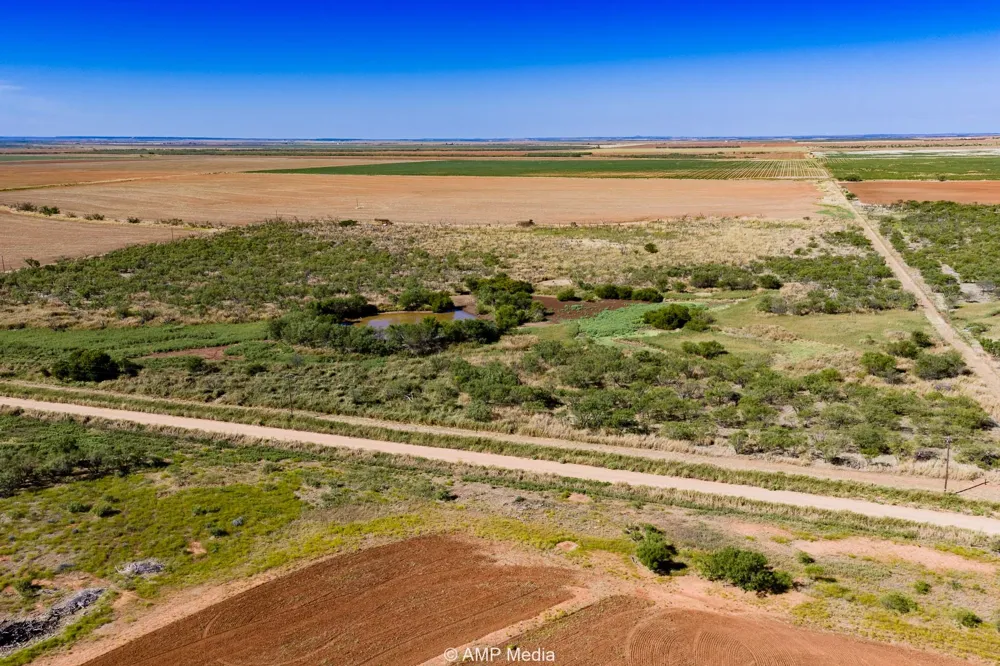 1504 CR 423 Rule, TX 79547
